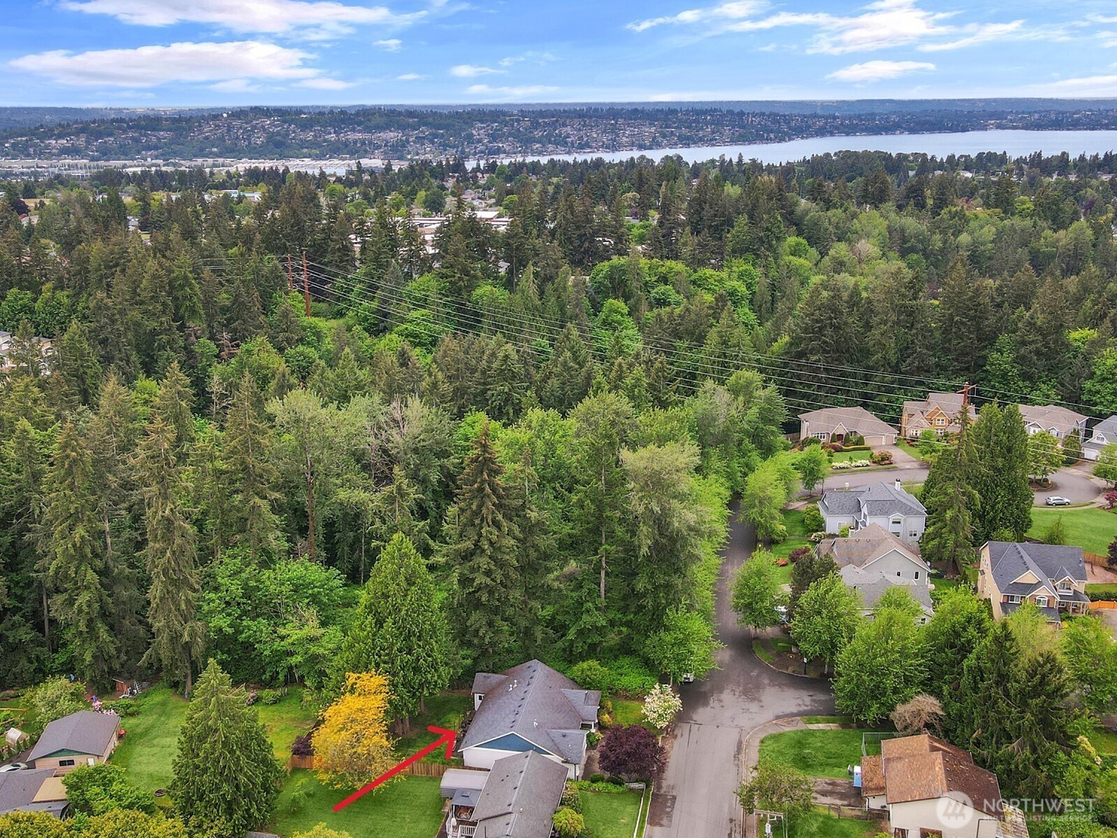 12503 Southeast 104th Street Renton, WA 98056 - Photo 37 of 37 a view of a city with lush green forest