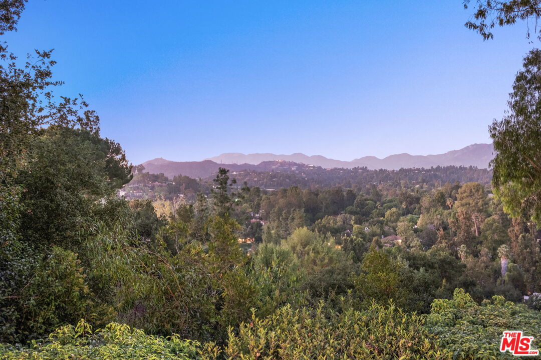 1161 Romney Drive Pasadena, CA 91105 - Photo 28 of 29 a view of a lush green forest with trees in the background
