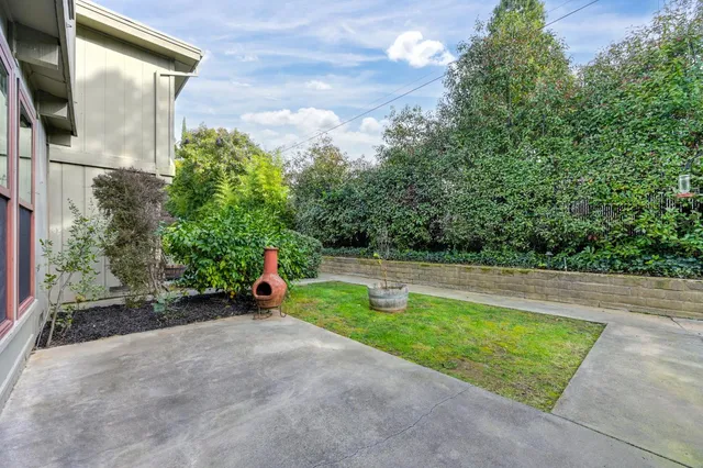 a view of a backyard with table and chairs potted plants and the palm tree