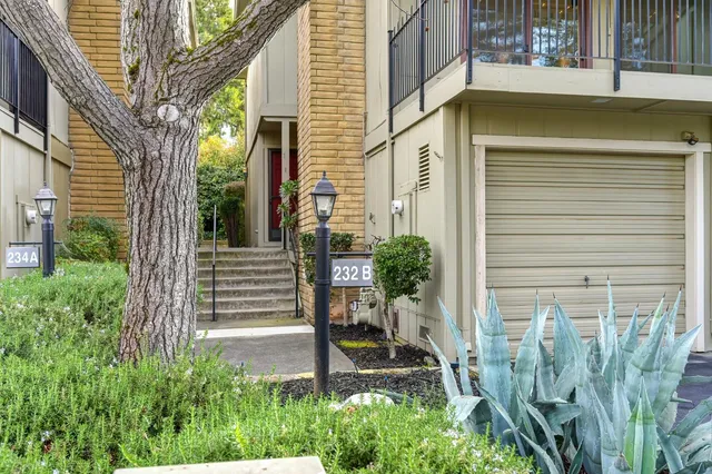 a view of a house with a yard and plants