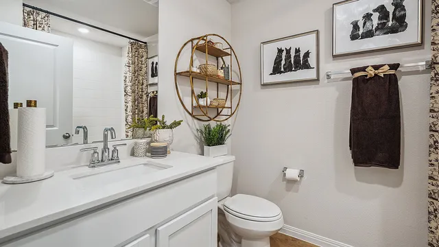 a bathroom with a toilet a sink and a mirror