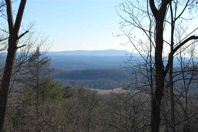 0 Christ Rock Camp Road Landrum, SC 29356 - Photo 3 of 10 Gallery Image 3