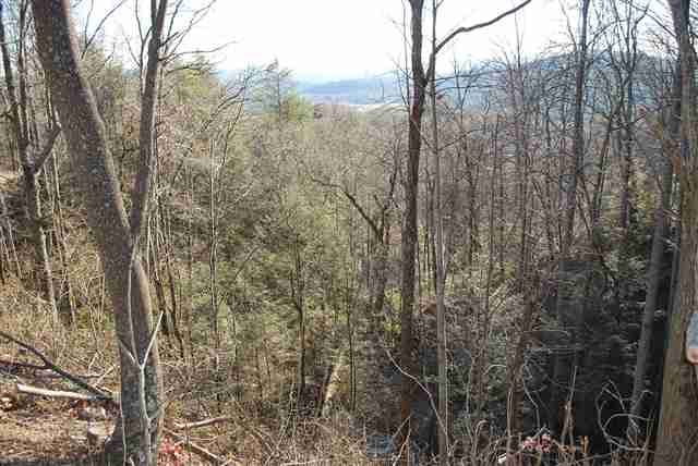 0 Christ Rock Camp Road Landrum, SC 29356 - Photo 6 of 10 Gallery Image 6