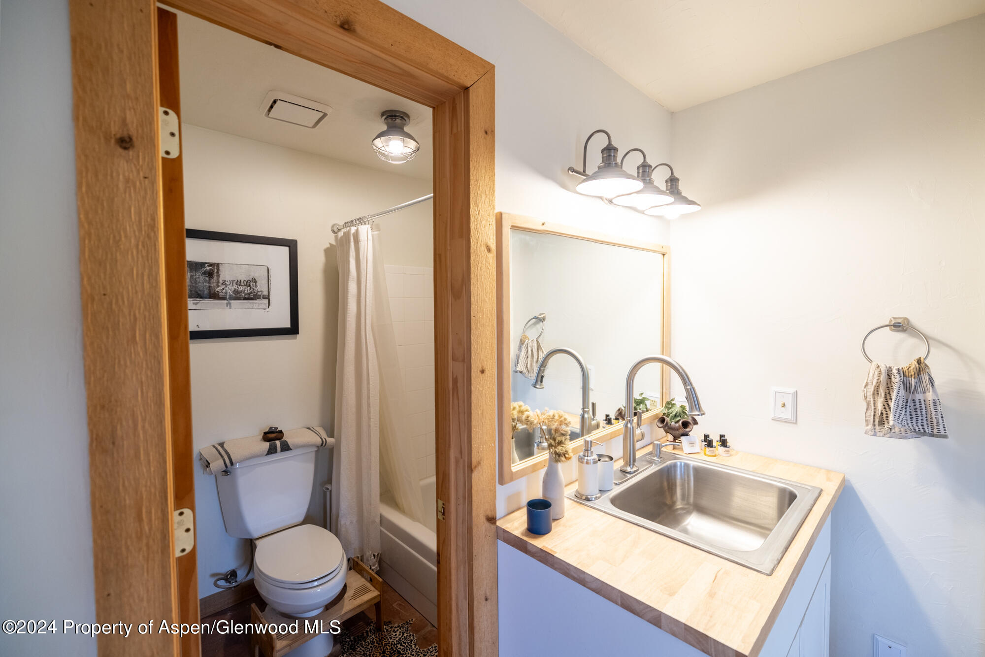 390 Hawk Lane Basalt, CO 81621 - Photo 32 of 41 24-05-18 Melberg 390 Reudi 01-19