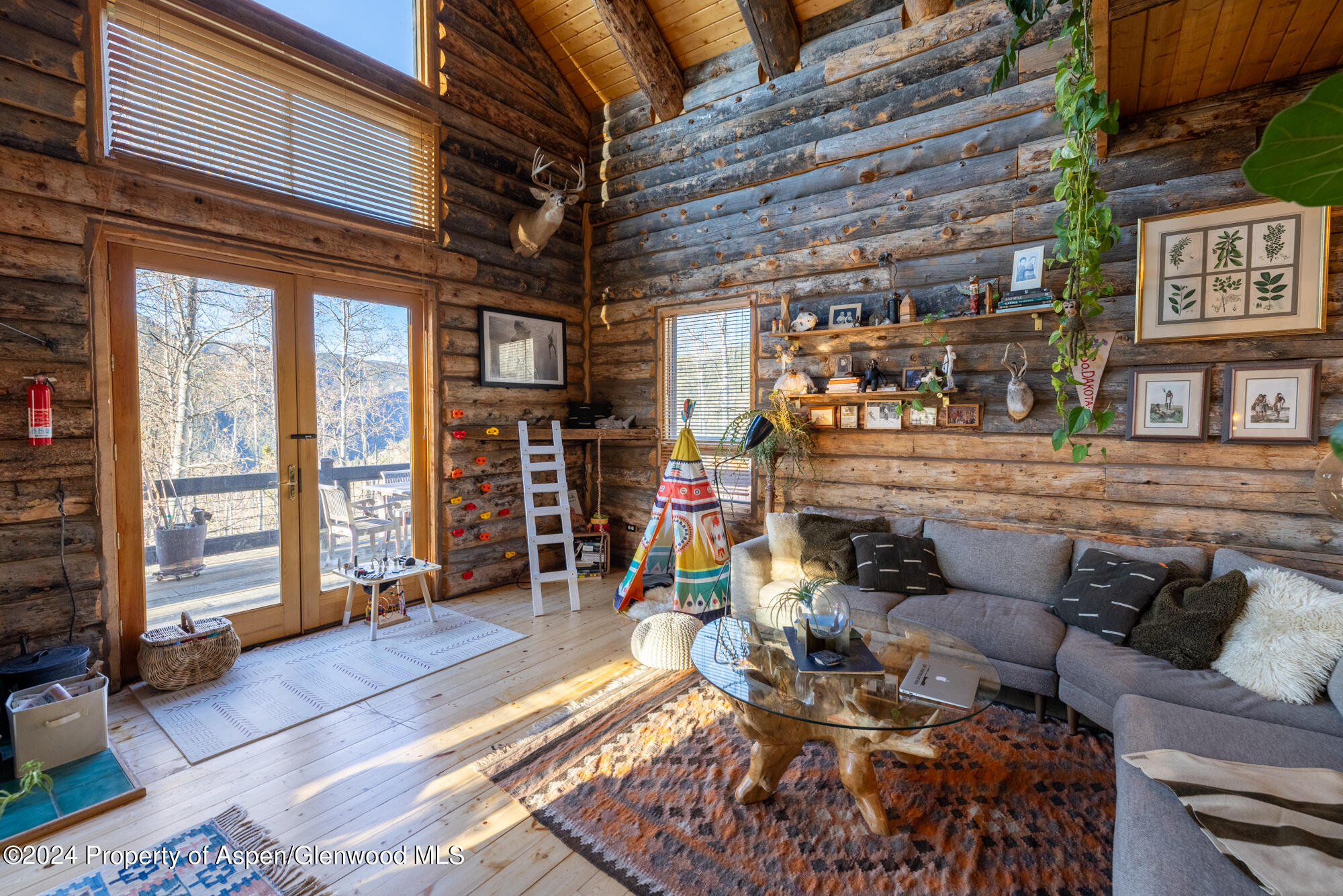 390 Hawk Lane Basalt, CO 81621 - Photo 6 of 41 24-05-18 Melberg 390 Reudi 01-10