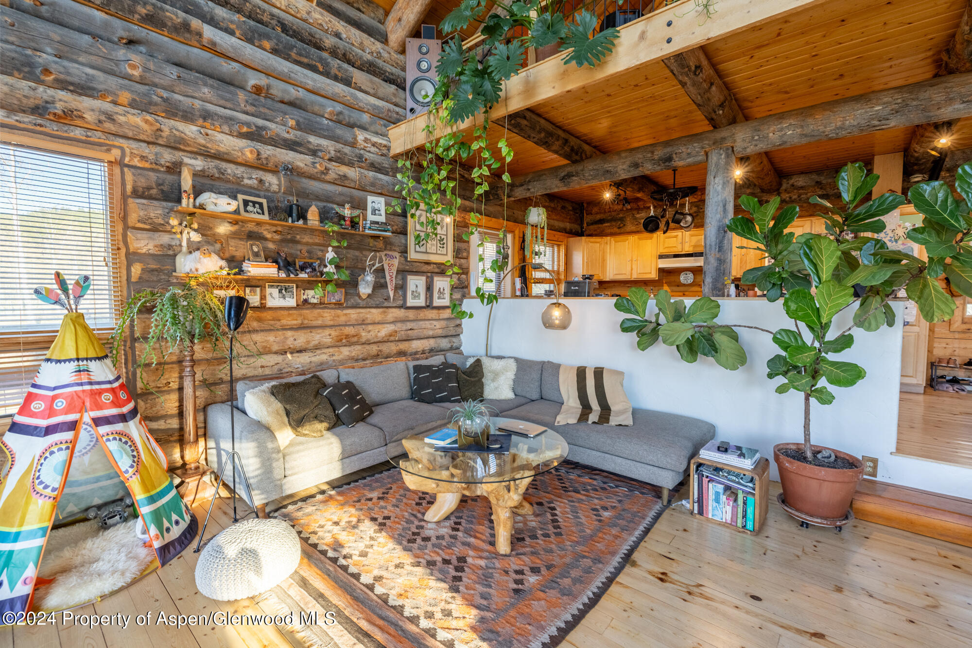 390 Hawk Lane Basalt, CO 81621 - Photo 7 of 41 24-05-18 Melberg 390 Reudi 01-11