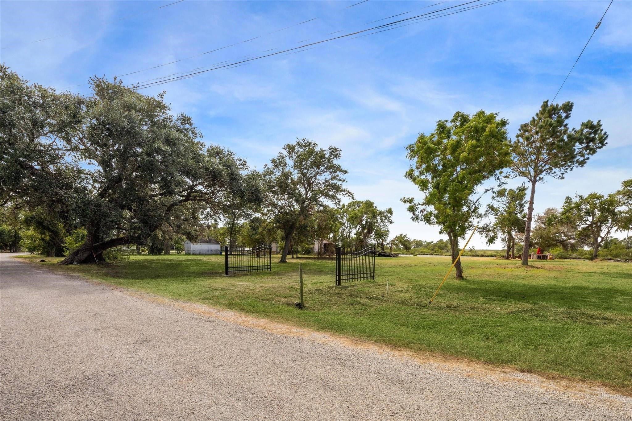 246 County Road 206 Sargent, TX 77414 - Photo 6 of 10 a view of a park with large trees