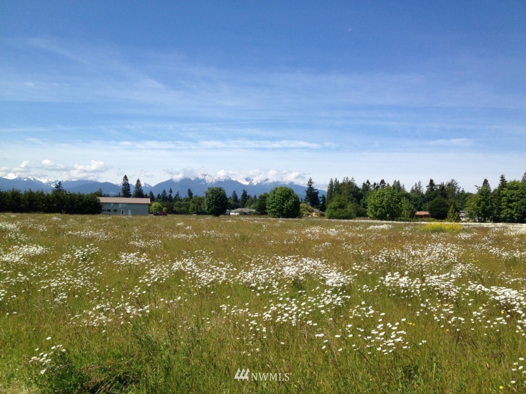 9999 Ritter Road Sequim, WA 98382 - Photo 1 of 4