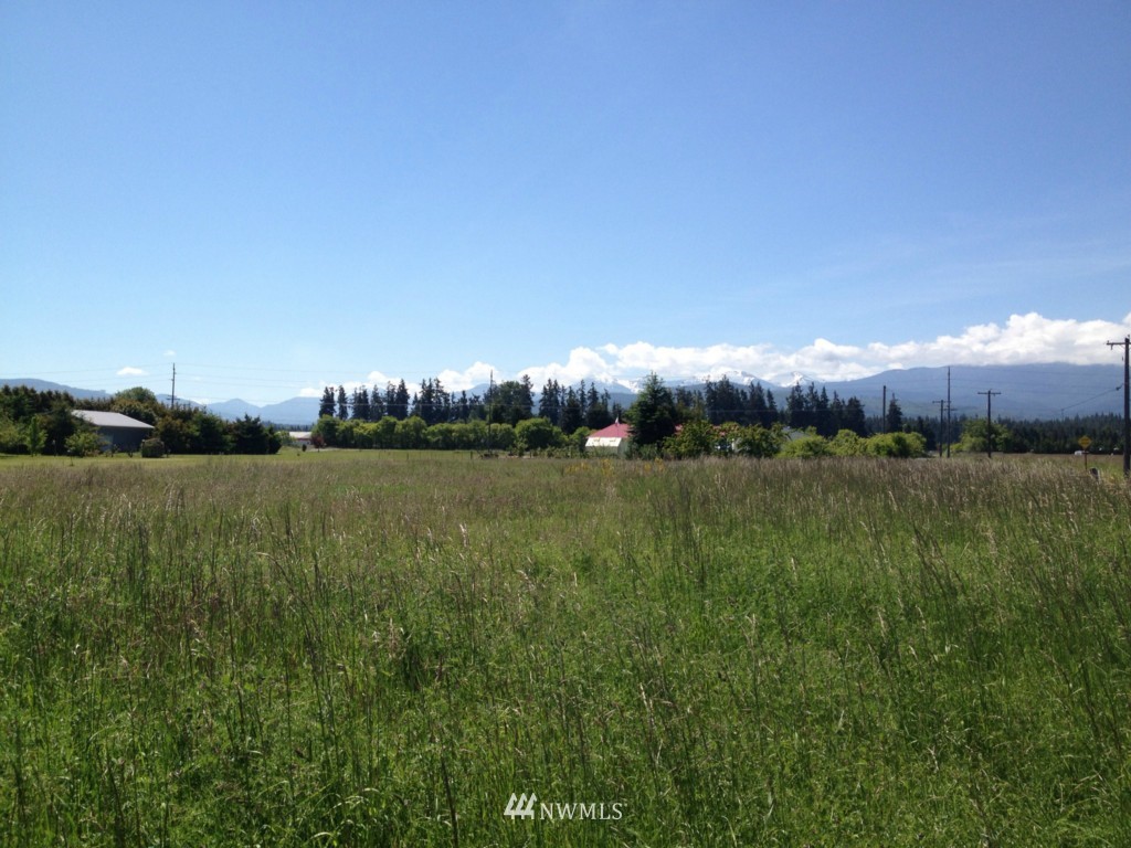 9999 Ritter Road Sequim, WA 98382 - Photo 2 of 4