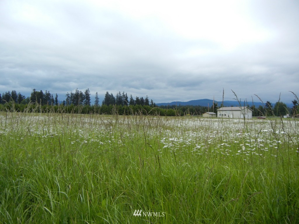9999 Ritter Road Sequim, WA 98382 - Photo 4 of 4