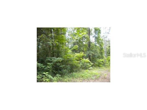 0 Southwest 19th Avenue Road Ocala, FL 34476 - Photo 1 of 1 Primary Photo