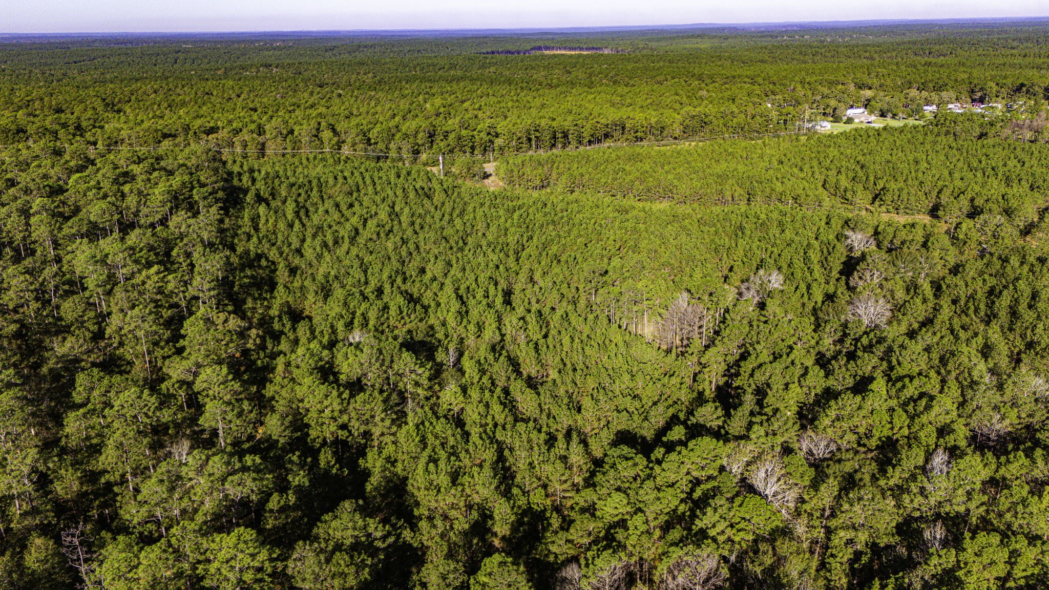 11 Magnolia Ranch Road Onalaska, TX 77360 - Photo 15 of 16 a view of an ocean and a mountain