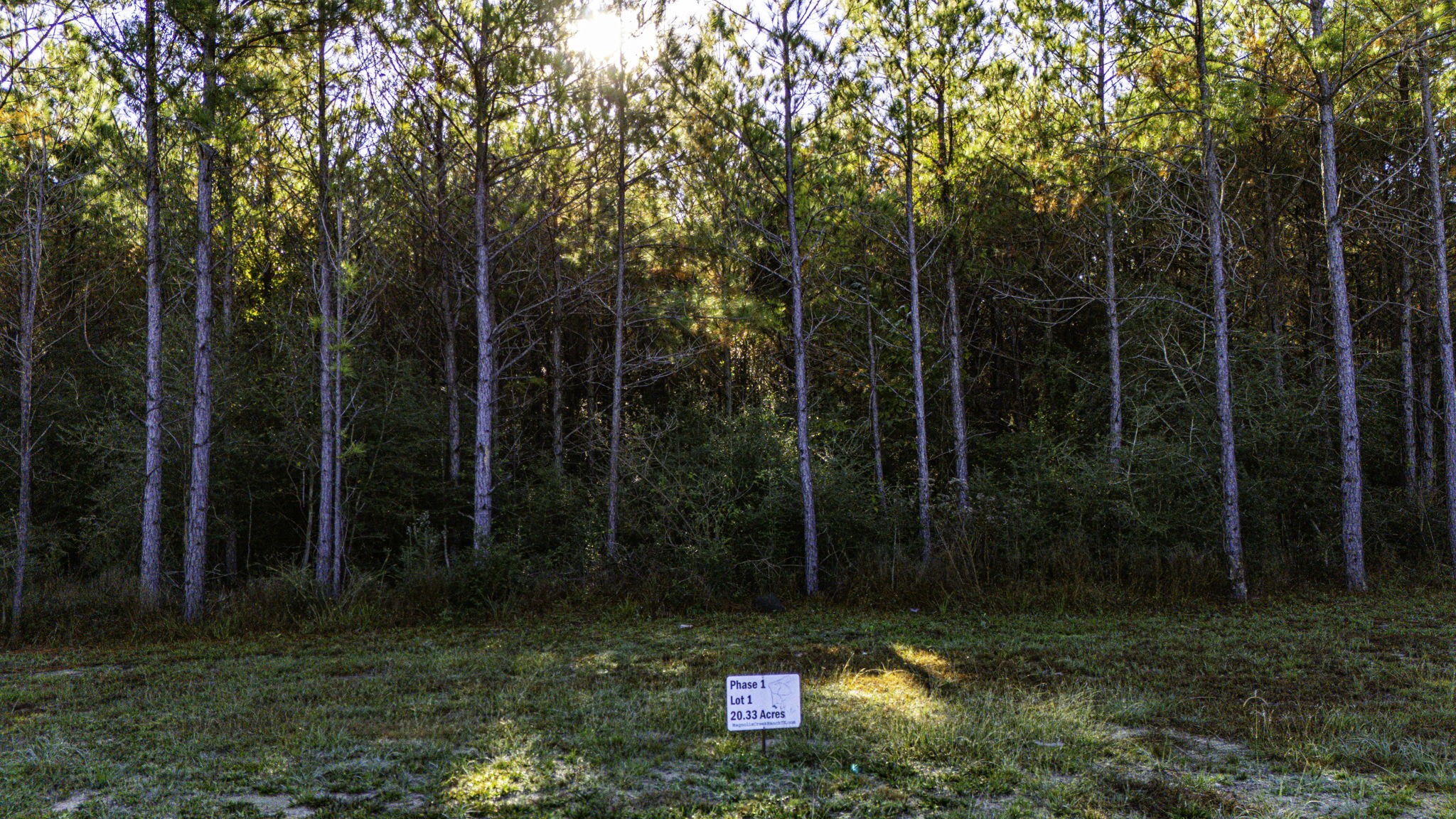 11 Magnolia Ranch Road Onalaska, TX 77360 - Photo 5 of 16 a view of backyard with green space