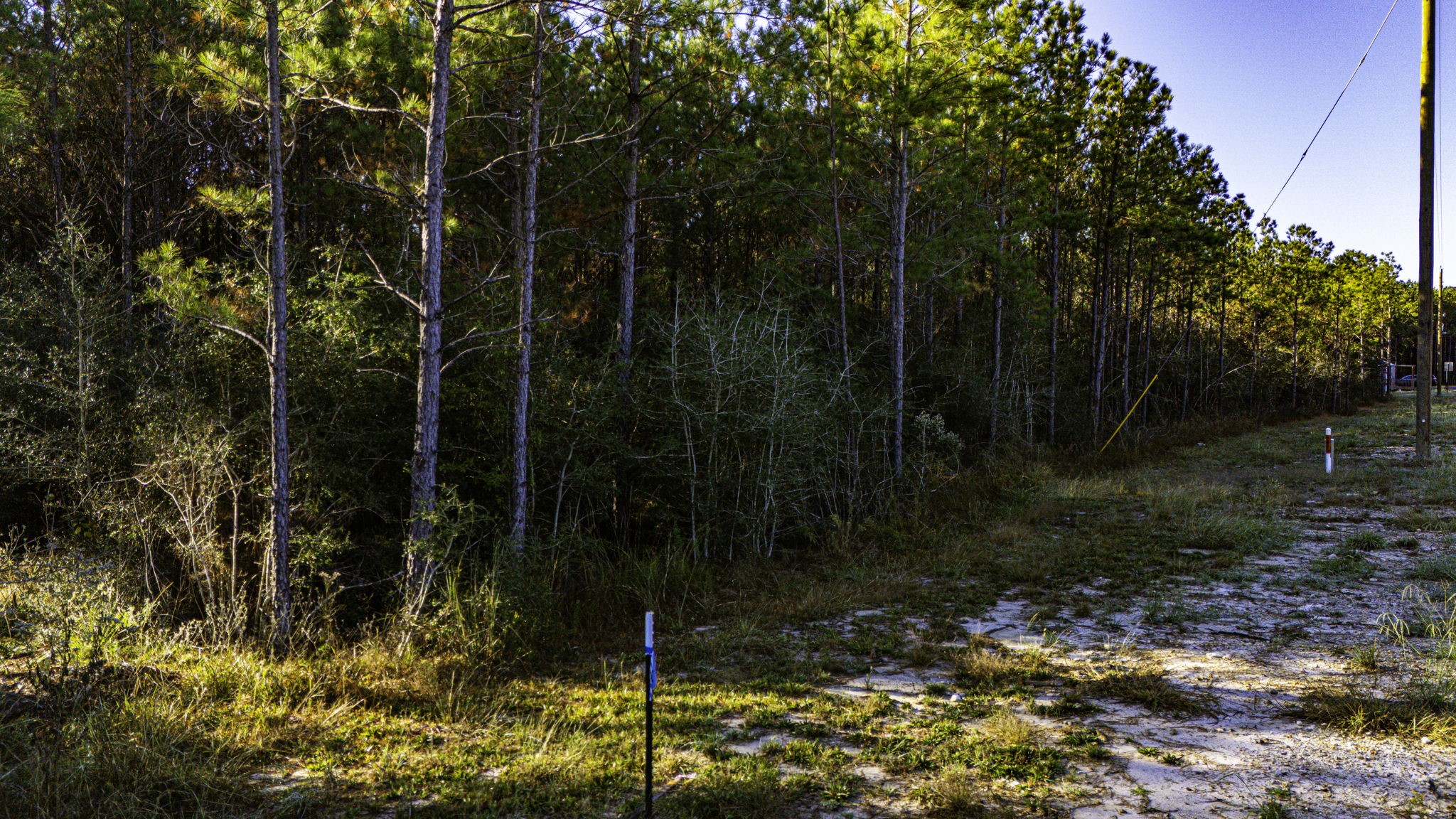 11 Magnolia Ranch Road Onalaska, TX 77360 - Photo 6 of 16 a view of a garden
