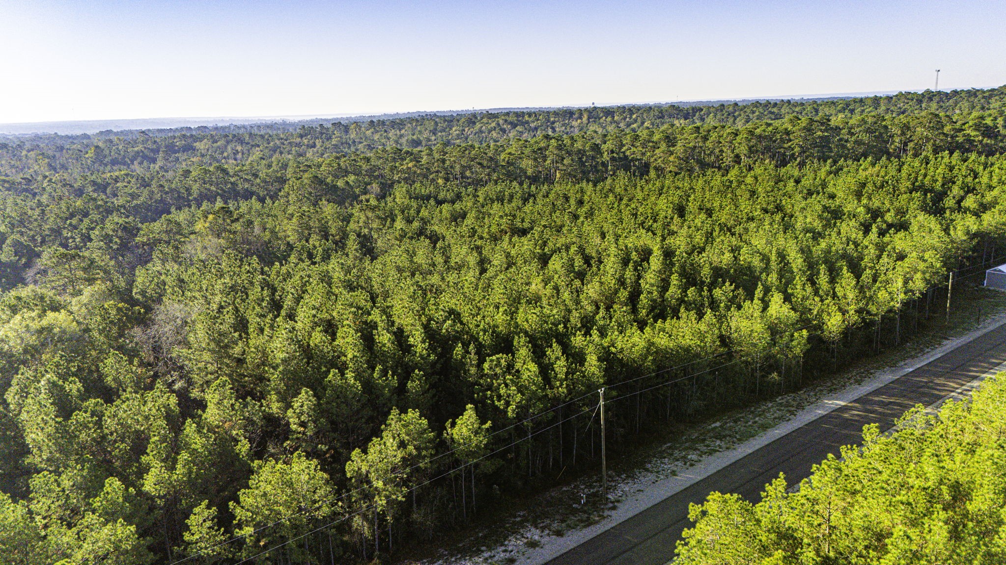 11 Magnolia Ranch Road Onalaska, TX 77360 - Photo 8 of 16 a view of a lake from a window
