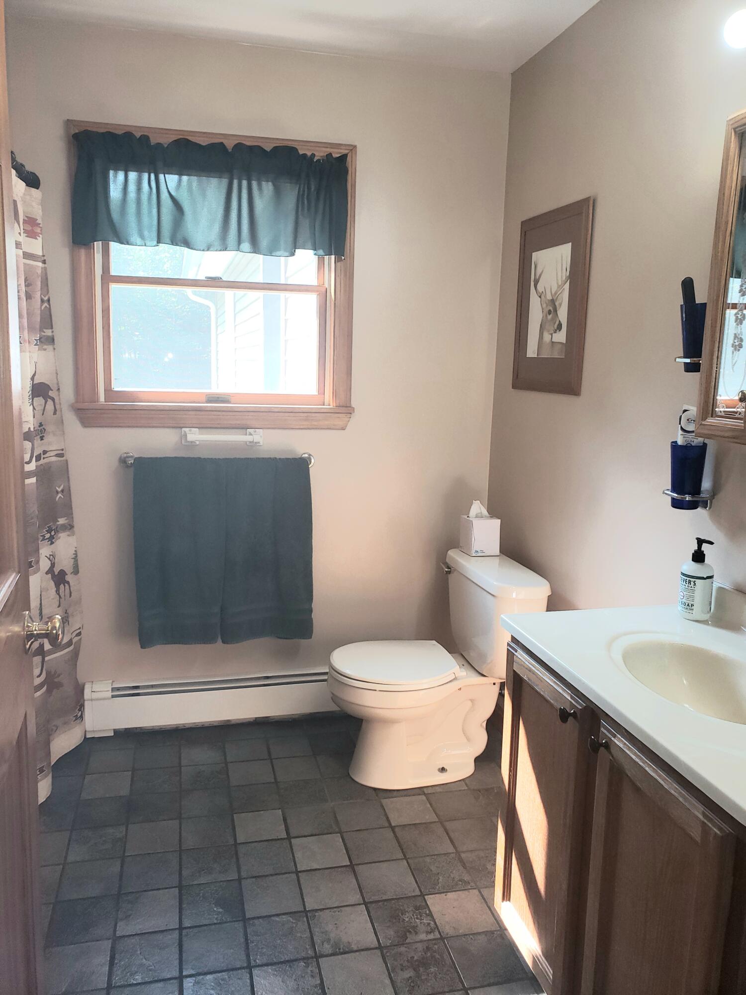 234 Academy Road Monmouth, ME 04259 - Photo 17 of 39 2nd full size Bathroom