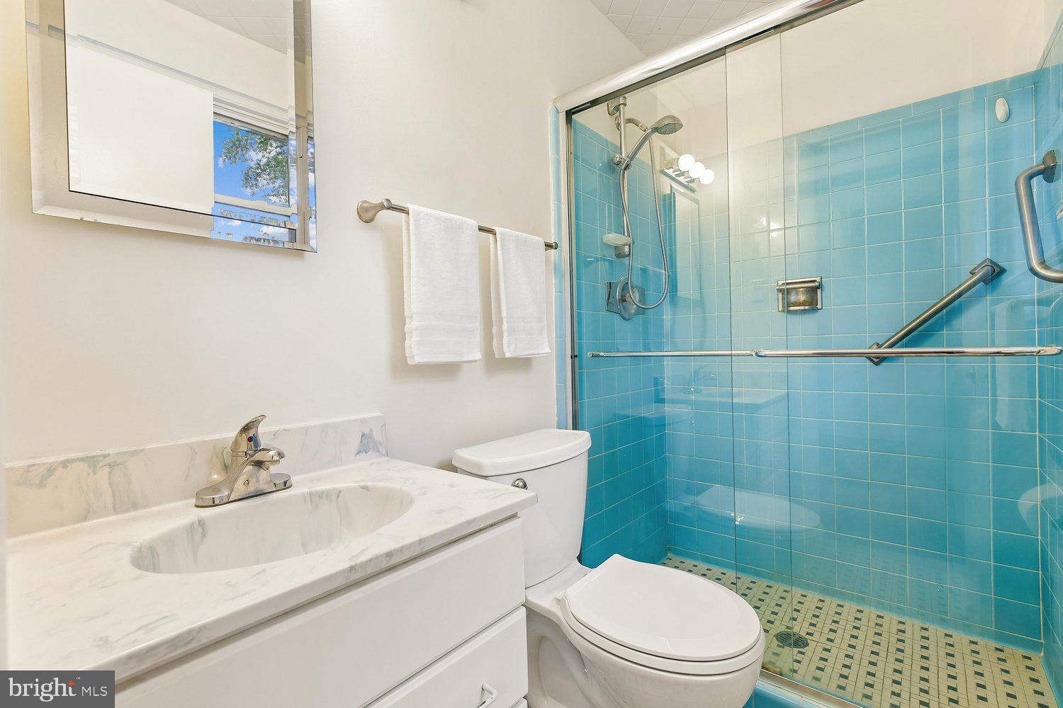 1002 North Belgrade Road Silver Spring, MD 20902 - Photo 21 of 46 Primary Bath