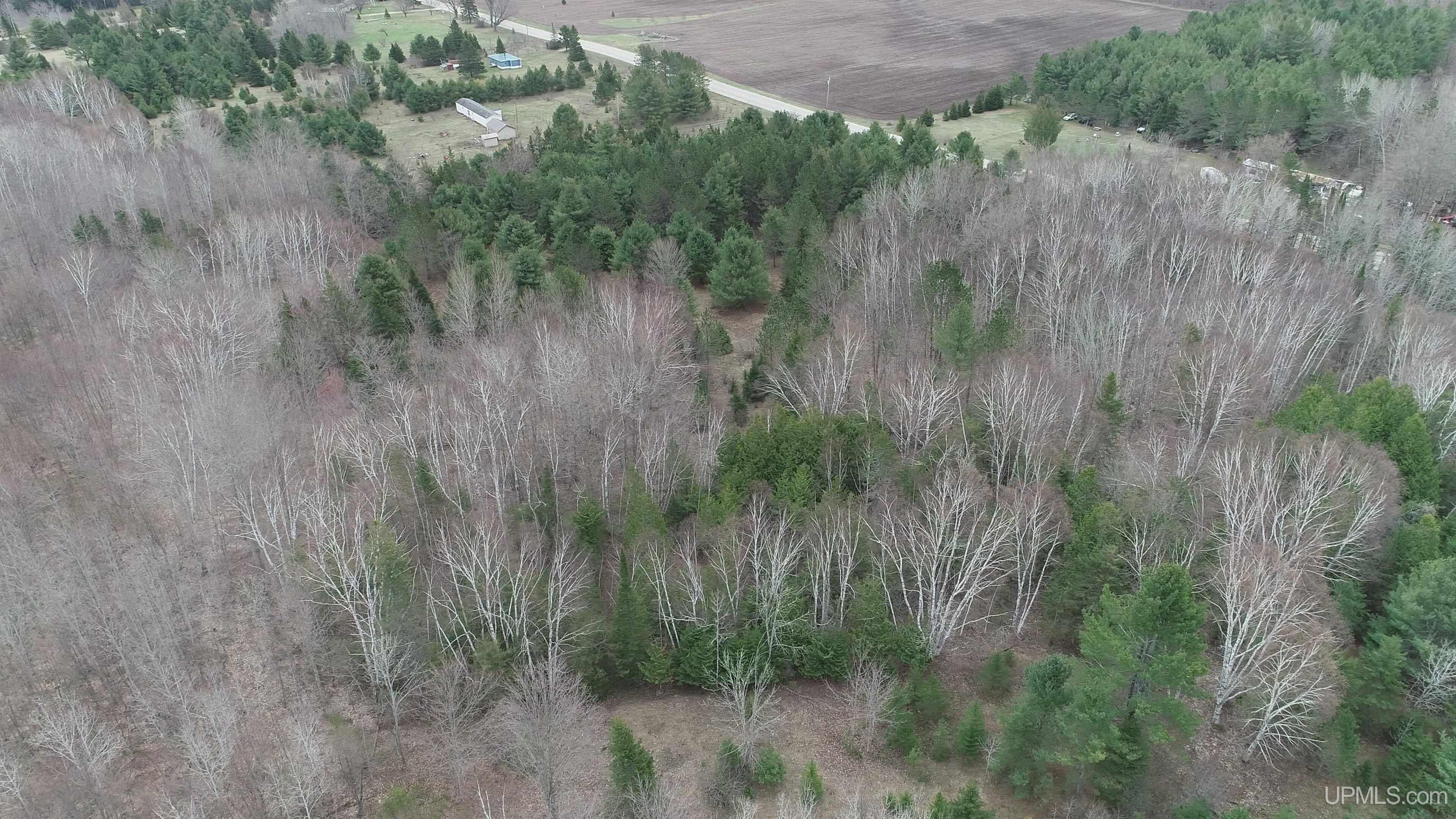 East 20 Quarry Road Gulliver, MI 49840 - Photo 28 of 47