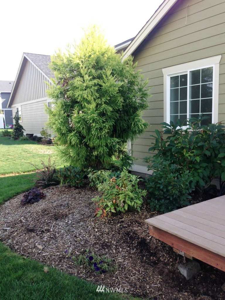 1684 Lexi Loop Lynden, WA 98264 - Photo 22 of 25 Gallery Image 22