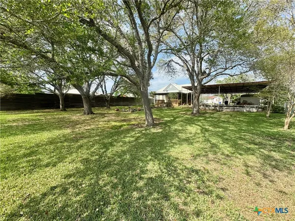 a view of a tree in a yard