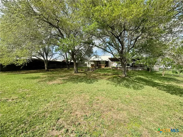 a view of yard with tree