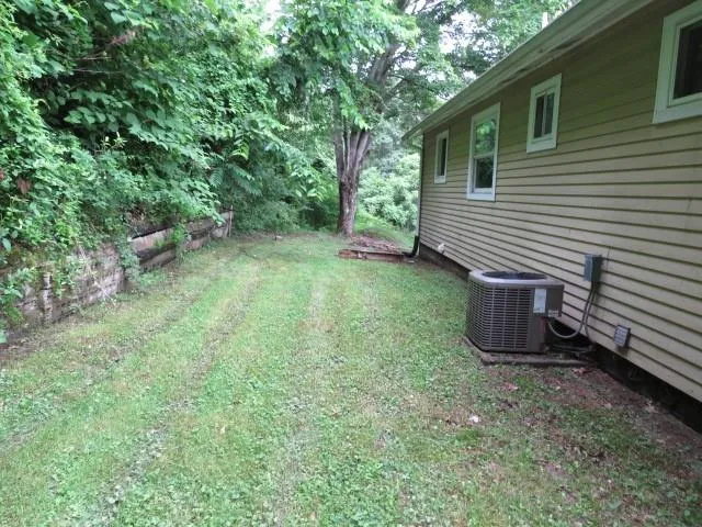 a view of a backyard with a large tree