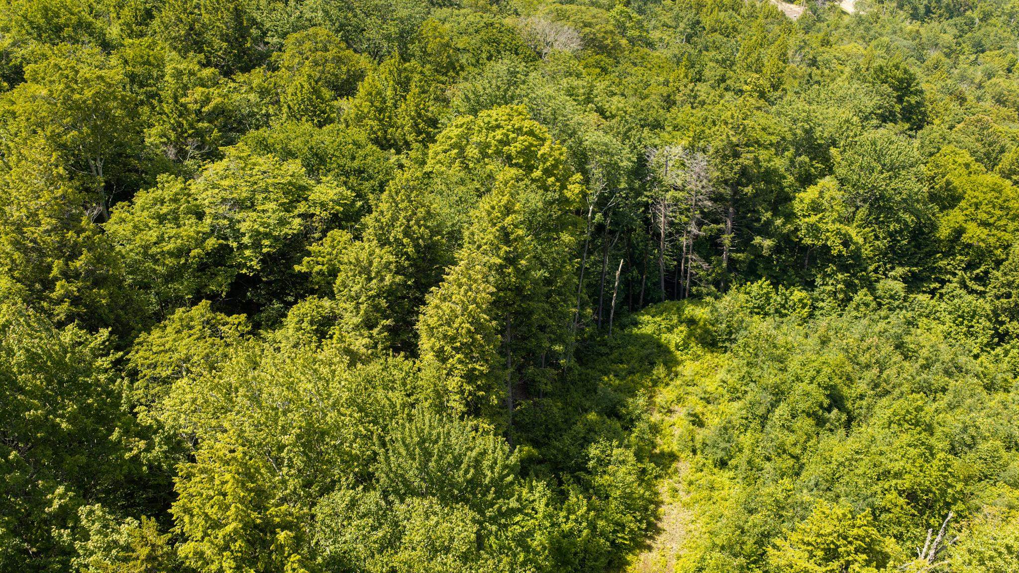 56 Lower Taylor Hill Road Winhall, VT 05340 - Photo 12 of 14 Gallery Image 12