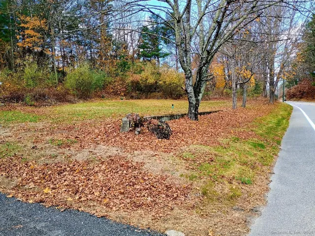 a view of a yard with trees
