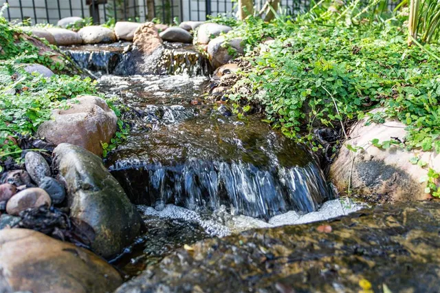 a backyard of a house with lots of green space