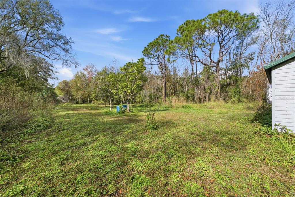 2220 Ellie Road, Unit A Auburndale, FL 33823 - Photo 28 of 41 a view of a field with trees