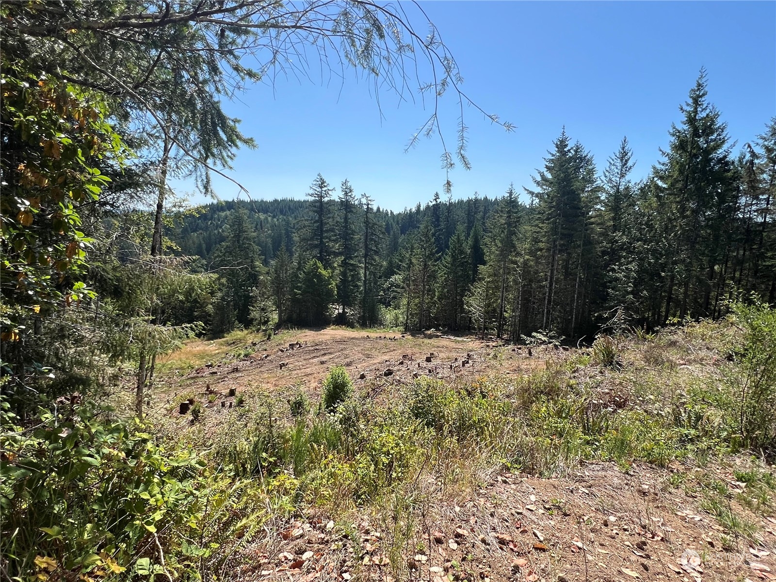 1-xxxx Mt Jupiter Road Brinnon, WA 98320 - Photo 18 of 19 Gallery Image 18