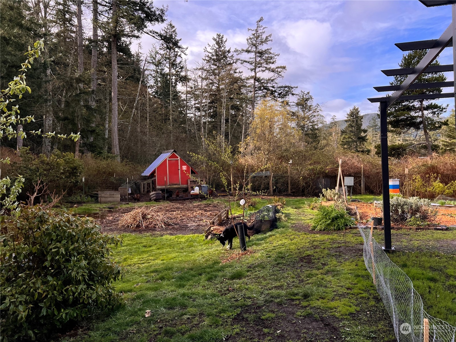 1960 Enchanted Forest Road Orcas Island, WA 98245 - Photo 12 of 38 Gallery Image 12