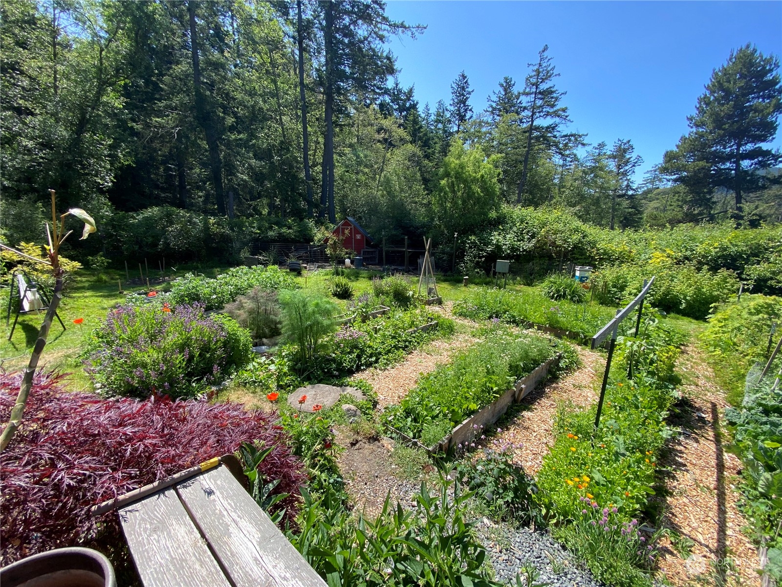 1960 Enchanted Forest Road Orcas Island, WA 98245 - Photo 14 of 38 Gallery Image 14