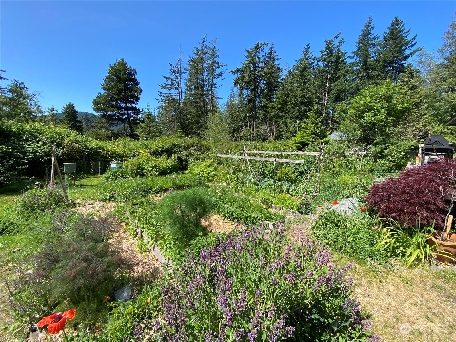 1960 Enchanted Forest Road Orcas Island, WA 98245 - Photo 15 of 38 Gallery Image 15