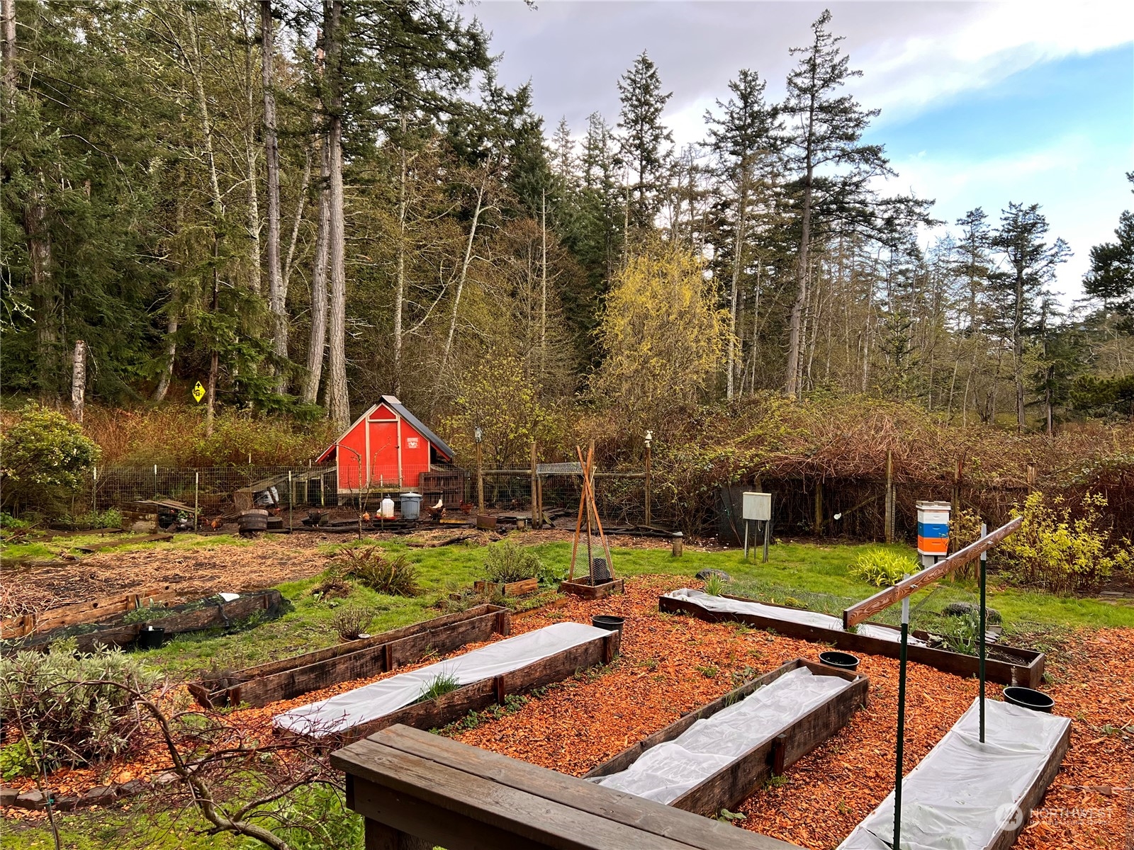 1960 Enchanted Forest Road Orcas Island, WA 98245 - Photo 17 of 38 Gallery Image 17