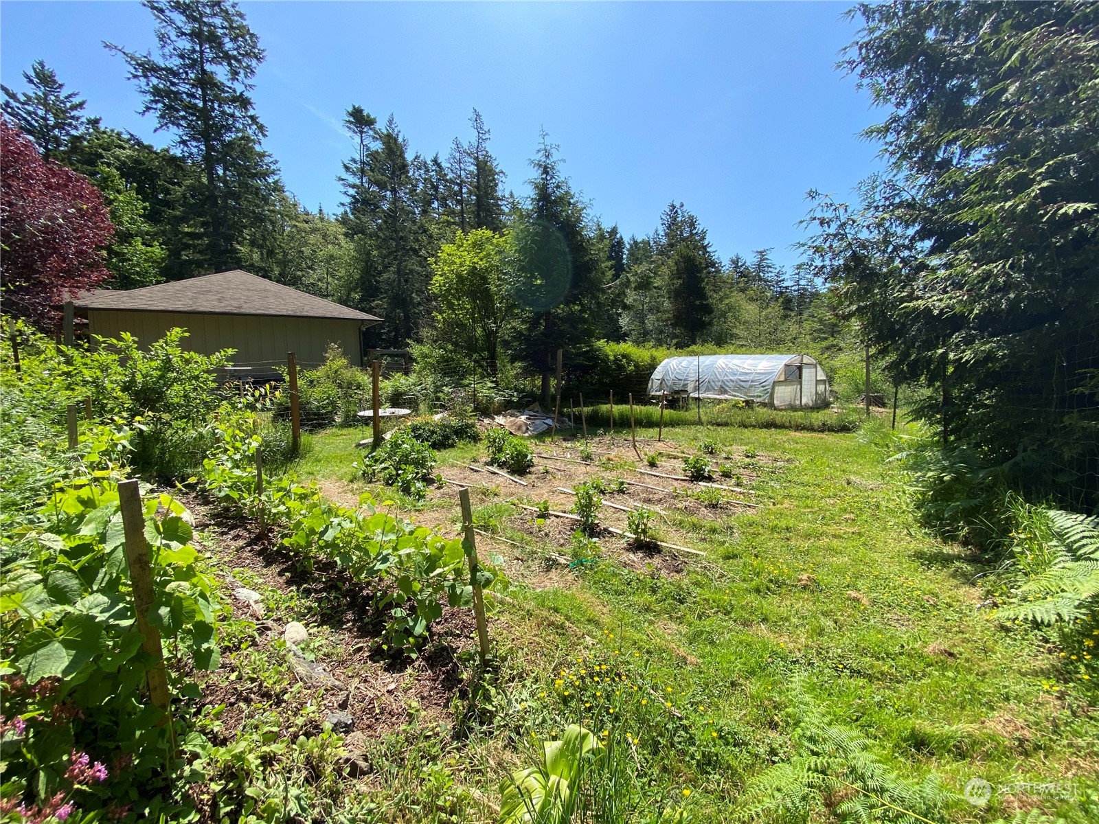 1960 Enchanted Forest Road Orcas Island, WA 98245 - Photo 19 of 38 Gallery Image 19
