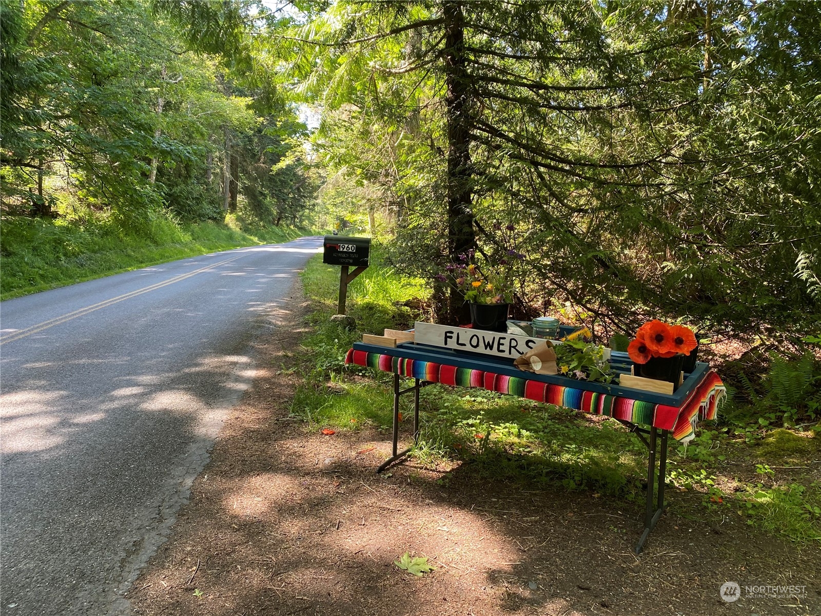 1960 Enchanted Forest Road Orcas Island, WA 98245 - Photo 21 of 38 Gallery Image 21