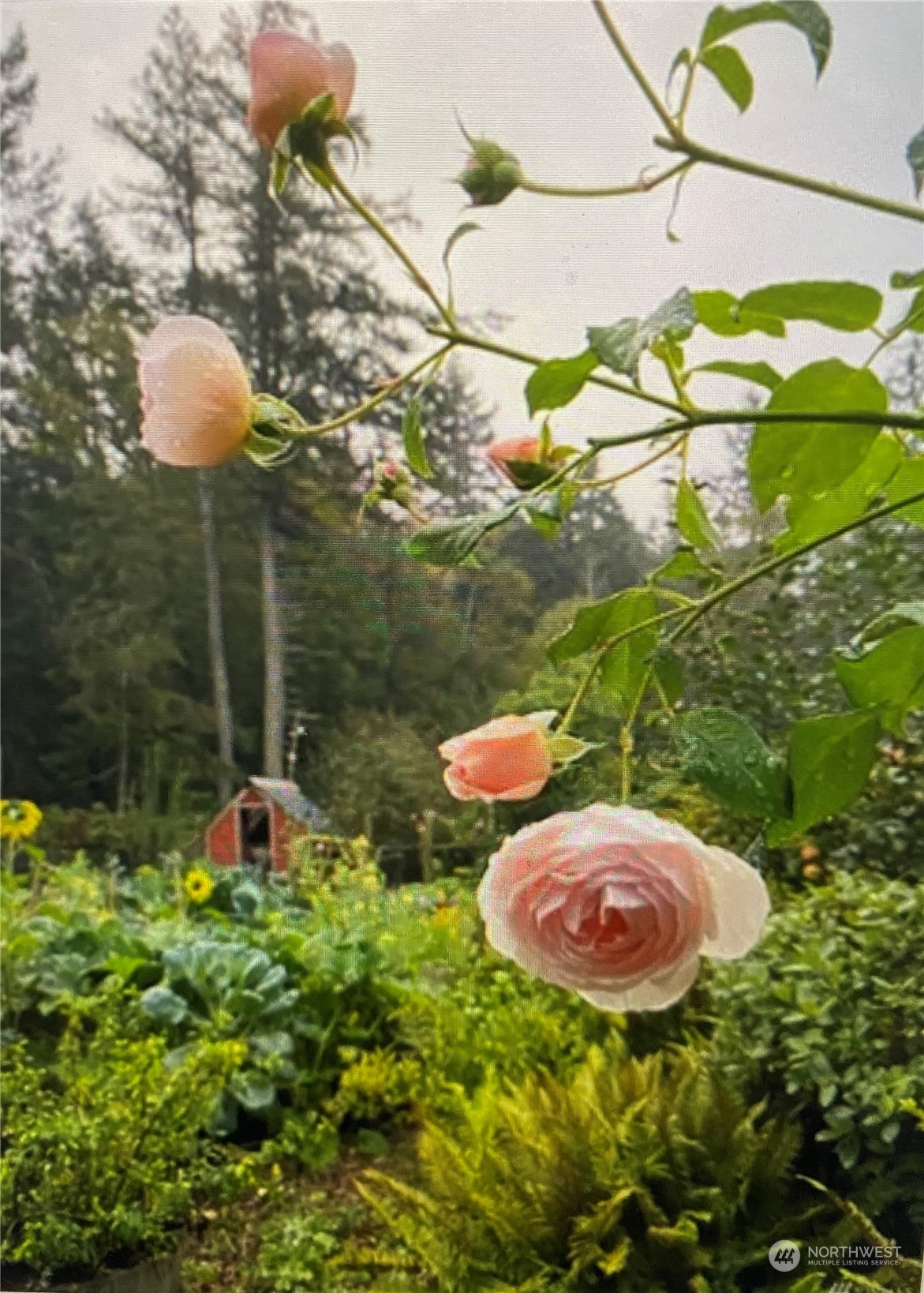 1960 Enchanted Forest Road Orcas Island, WA 98245 - Photo 33 of 38 Gallery Image 33