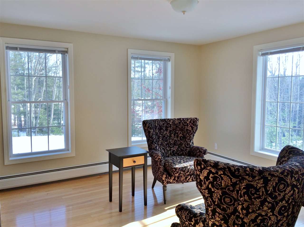 53 Tan Road Pittsfield, NH 03263 - Photo 20 of 40