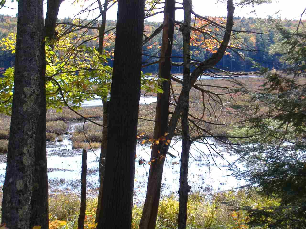 53 Tan Road Pittsfield, NH 03263 - Photo 10 of 40