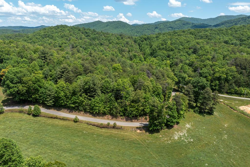 4.0-acre Donley Road Murphy, NC 28906 - Photo 5 of 15