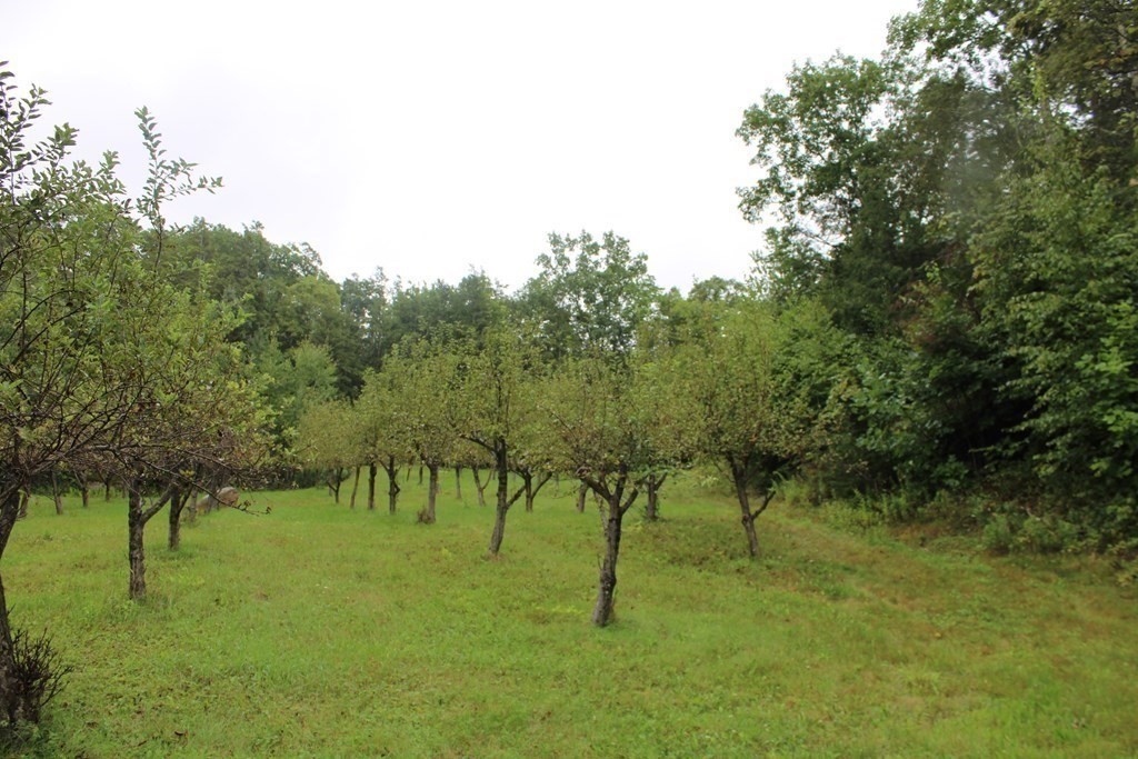 141 Fomer Road Southampton, MA 01073 - Photo 9 of 37