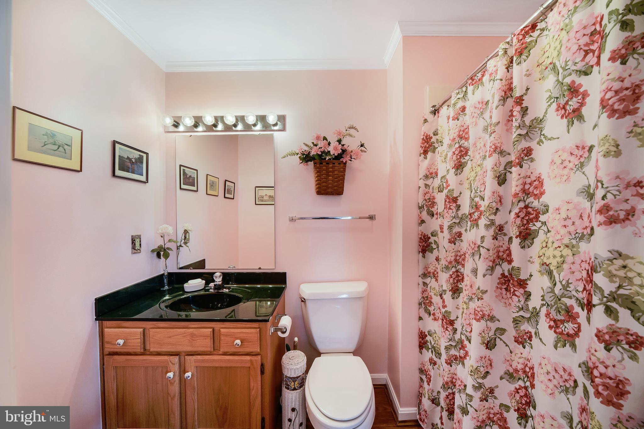 2231 Old Quaker Road Darlington, MD 21034 - Photo 28 of 50 Bathroom