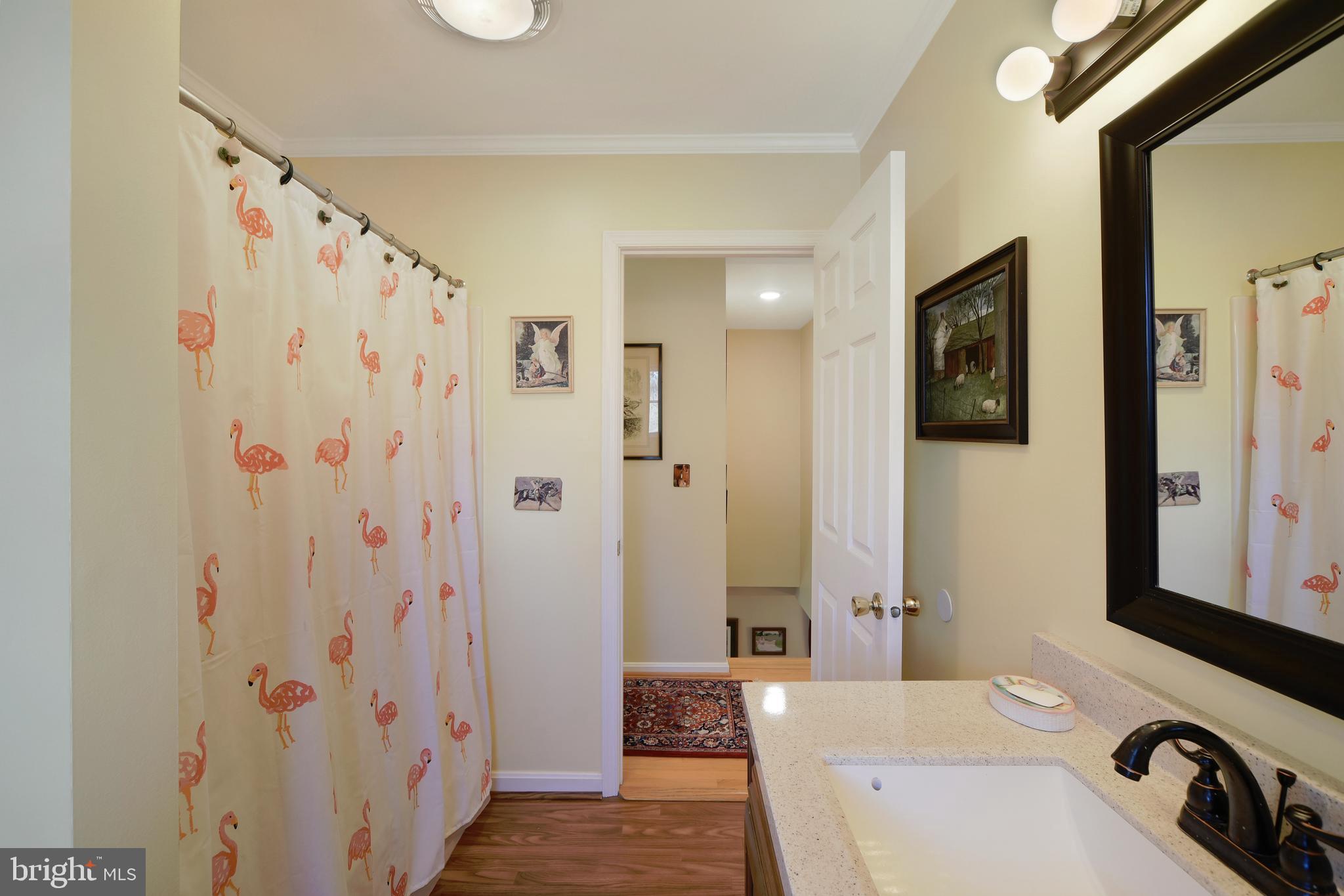 2231 Old Quaker Road Darlington, MD 21034 - Photo 33 of 50 Hall Bathroom