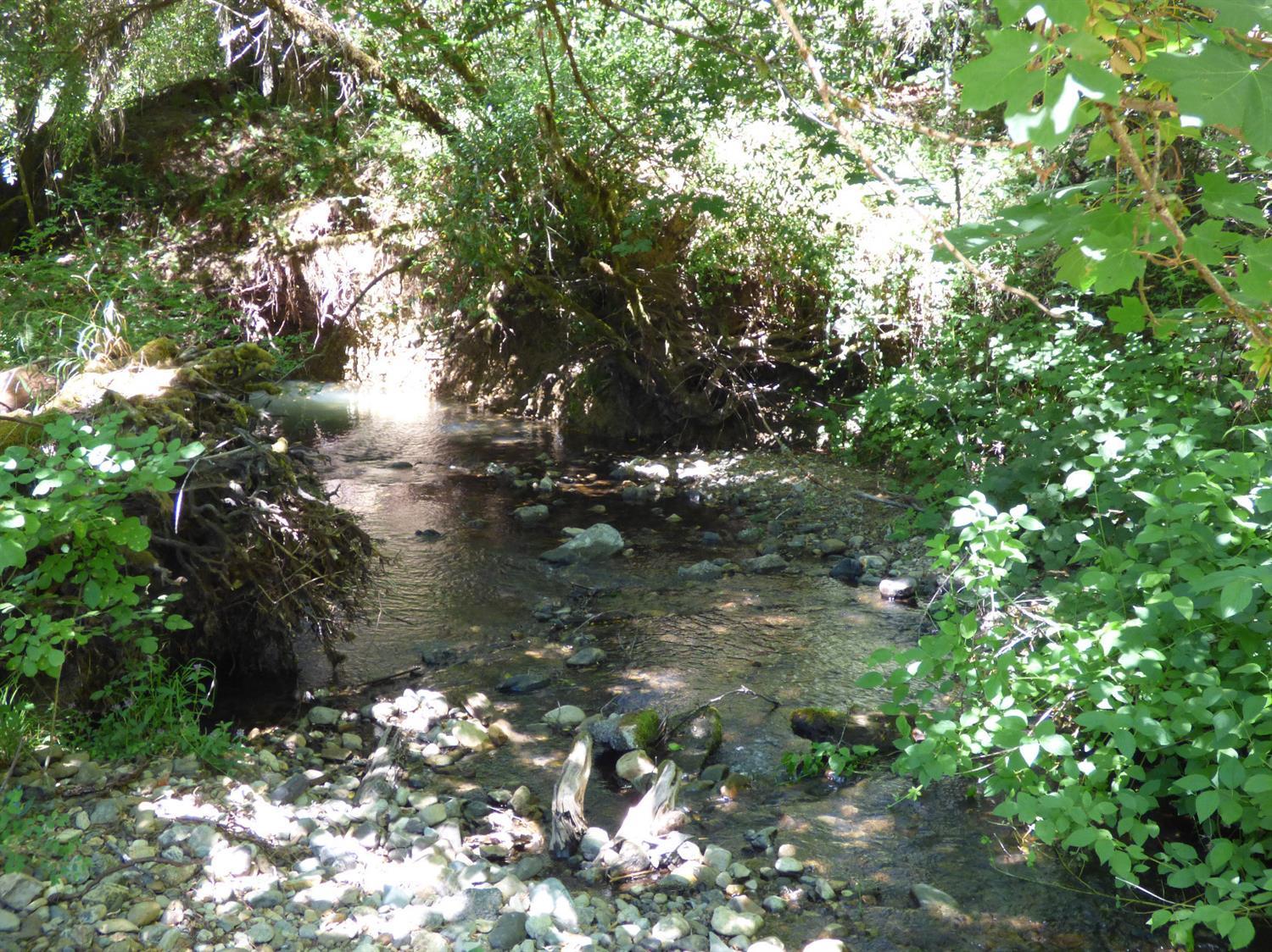 680 Hays Cut Off Road Cave Junction, OR 97523 - Photo 22 of 28 Kelly Creek - shot taken from bridge