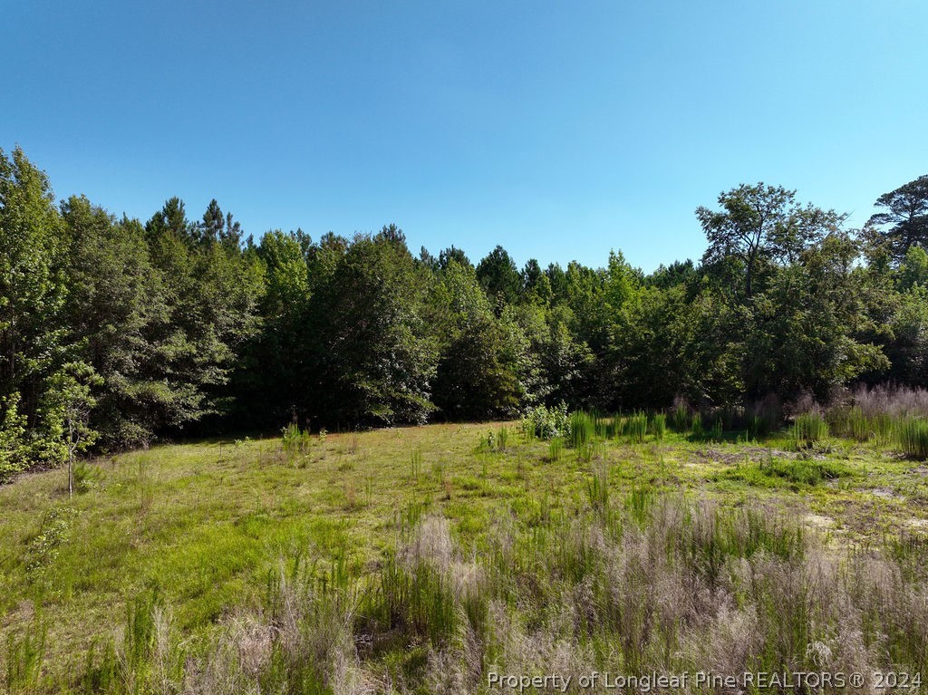 1076 Cameron Hill Road Cameron, NC 28326 - Photo 3 of 17 Gallery Image 3