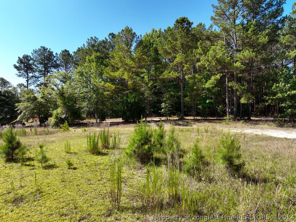 1076 Cameron Hill Road Cameron, NC 28326 - Photo 4 of 17 Gallery Image 4