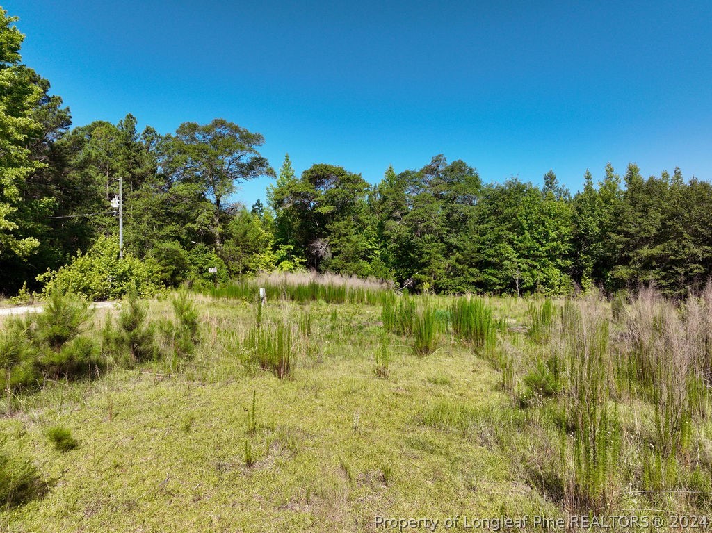 1076 Cameron Hill Road Cameron, NC 28326 - Photo 5 of 17 Gallery Image 5