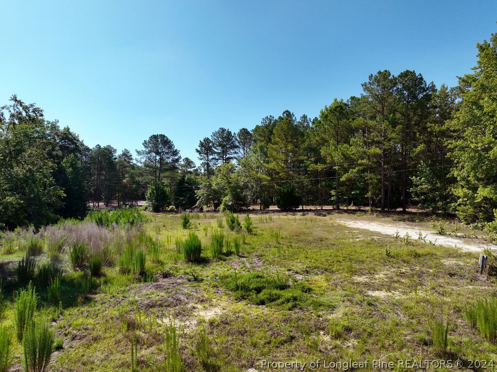 1076 Cameron Hill Road Cameron, NC 28326 - Photo 8 of 17 Gallery Image 8