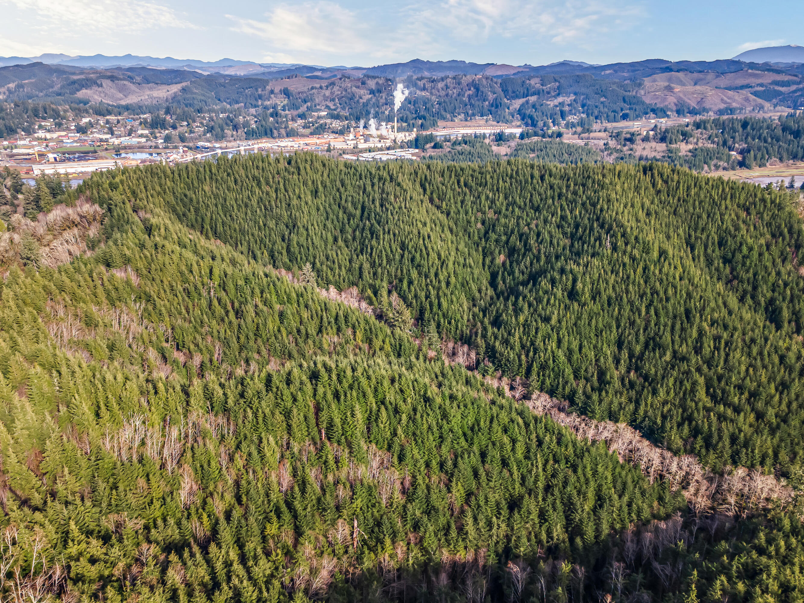 0 Criteser Loop Toledo, OR 97391 - Photo 7 of 31 DJI_0617